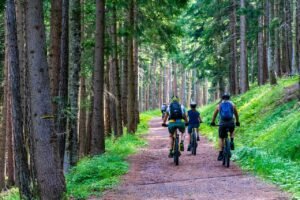 forest, forest road, mountain bike, e bike, e-mtb, pedelec, nature, landscape, to go biking, biking, mountain biking, cyclist, sports, man, fitness, cycling, wheel, leisure time, cycles, bike tour, athletic, bike, active, recreation, people, mountain bike, mountain bike, mountain bike, e bike, mountain biking, mountain biking, mountain biking, mountain biking, mountain biking, cycling, cycling, cycling